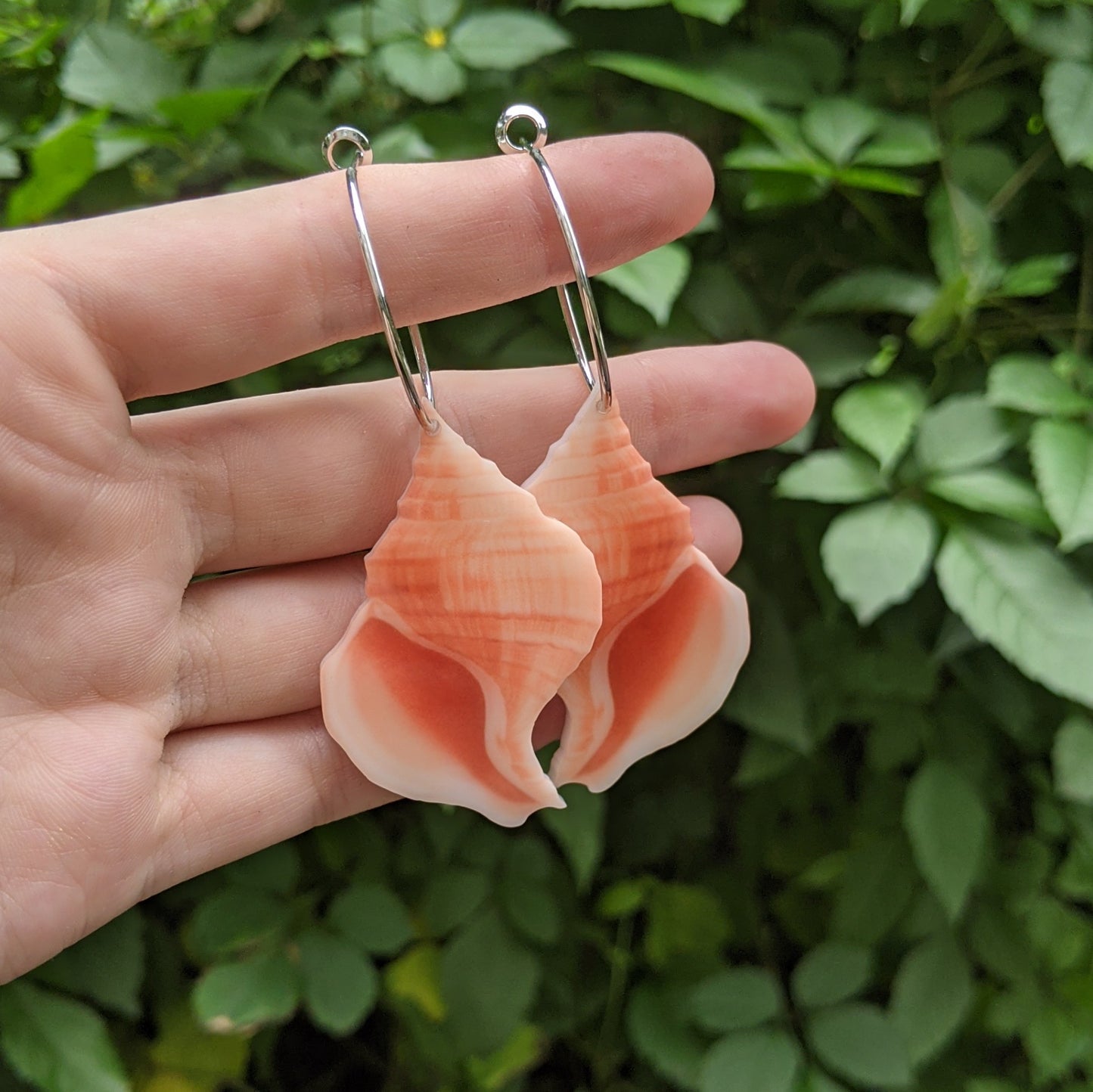 Pink Conch Sea Shell Hoops