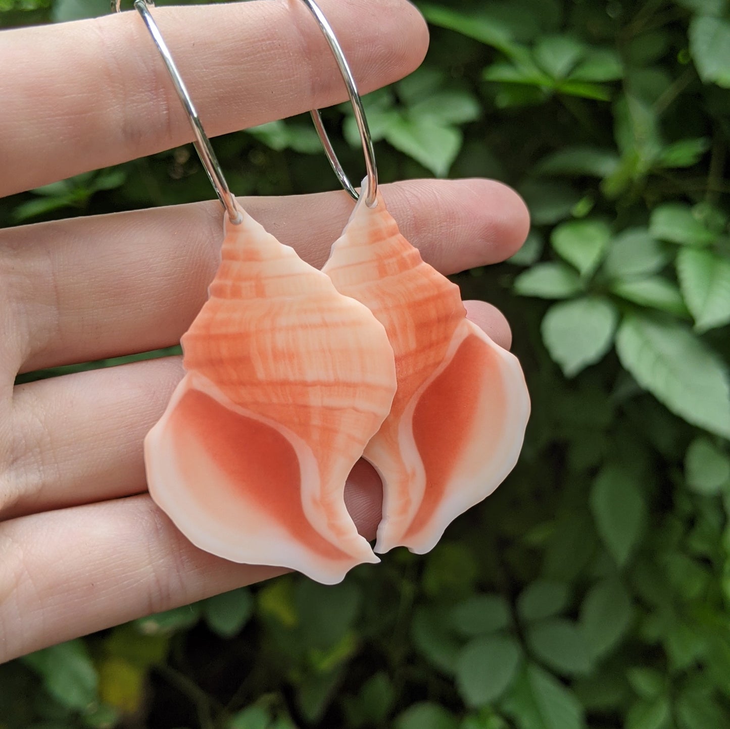 Pink Conch Sea Shell Hoops