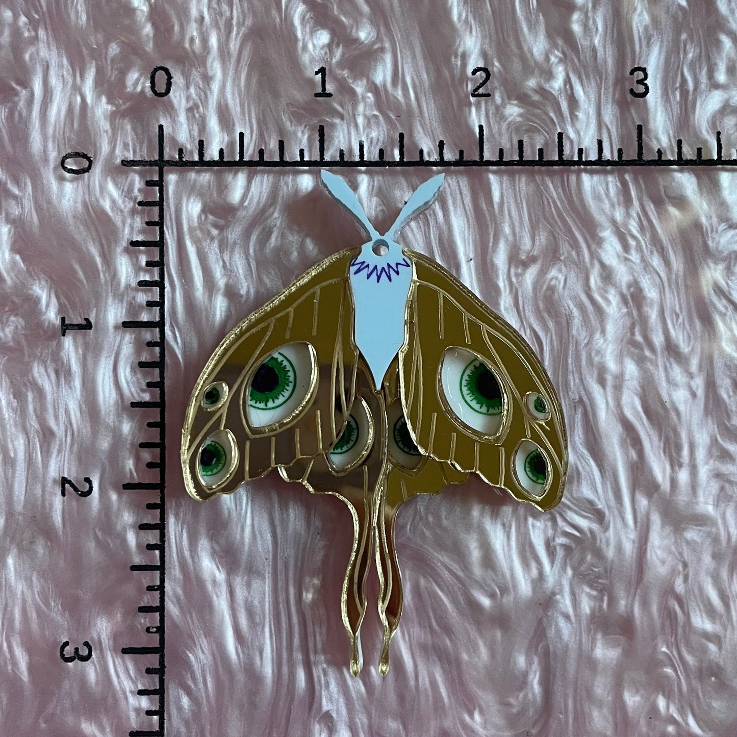 👁️ single moth 👁️